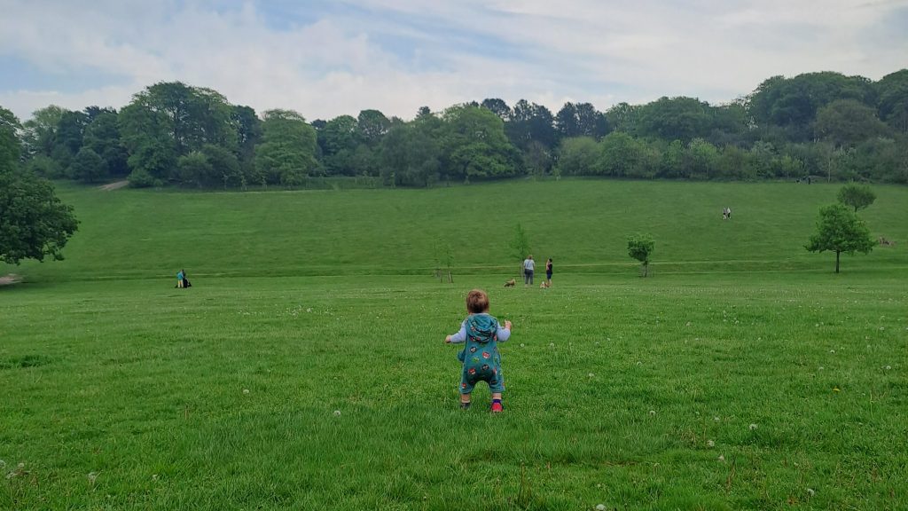 Toddler running on grassy field.